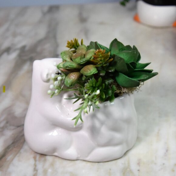 Small ceramic polar bear planter  w/Sola festive hand-painted Sola succulents - Picture 4 of 8